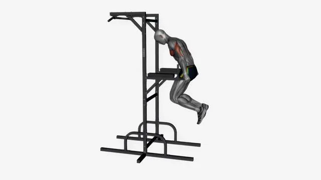 Chest dip (14)