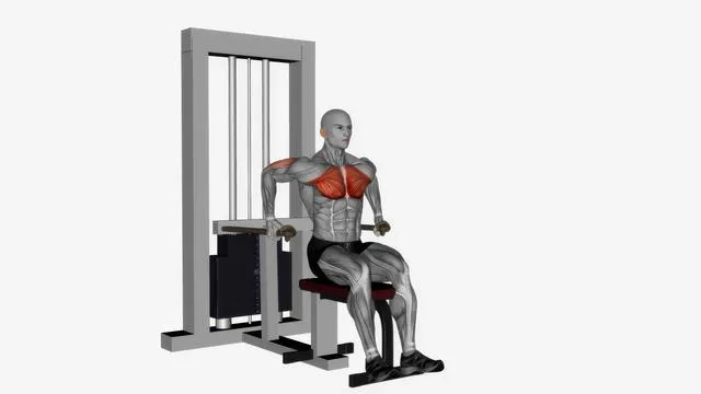 Chest dip (3)