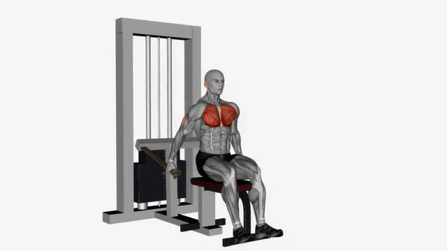 Chest dip (4)