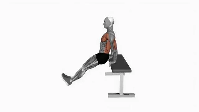 Chest dip (5)