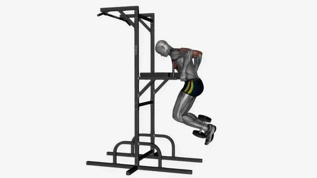 Chest dip (6)