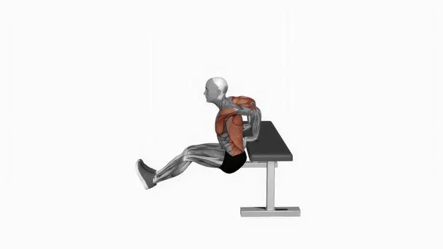 Chest dip (7)