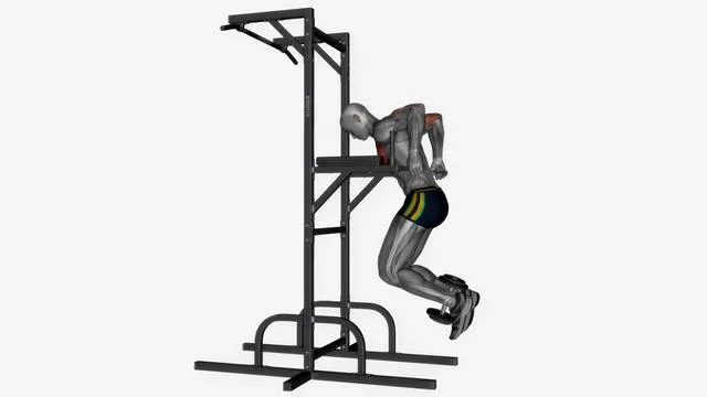 Chest dip (9)