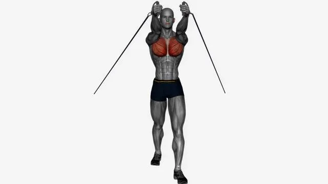 Chest fly low to high Resistance band (2)