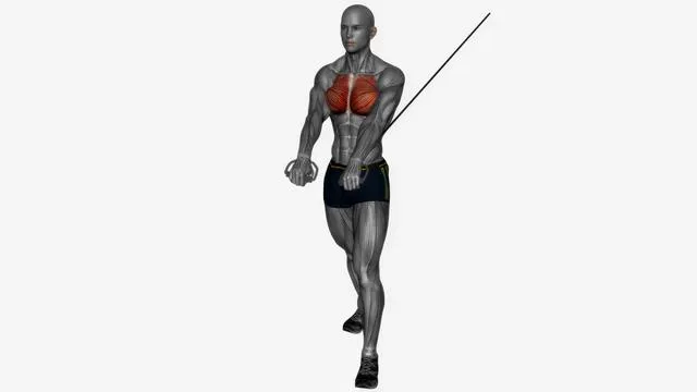 Chest press high to low cable Resistance band (2)