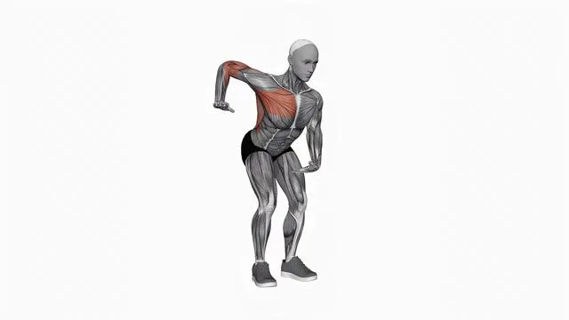 Chest pull back (2)