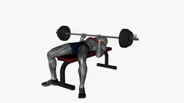 Close grip barbell bench press (3)