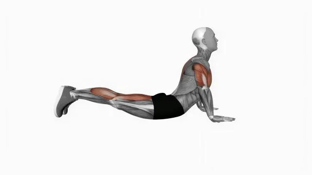 Cobra full push up (2)