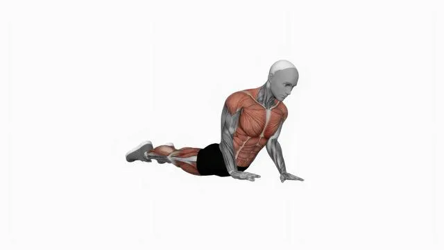 Cobra push up (2)