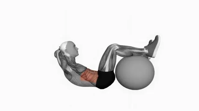 Crunch (legs on stability ball) (2)