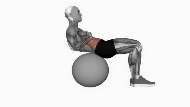 Crunch (on stability ball) (2)