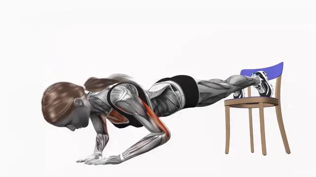 Decline chair push up diamond (2)