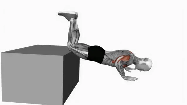 Decline kneeling push up (4)