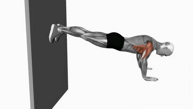 Decline push up (3)