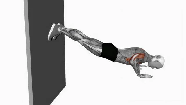 Decline push up (4)