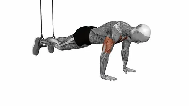 Decline push up (5)