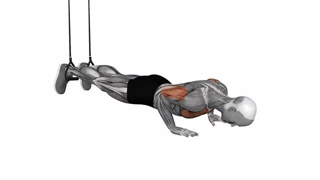 Decline push up (6)