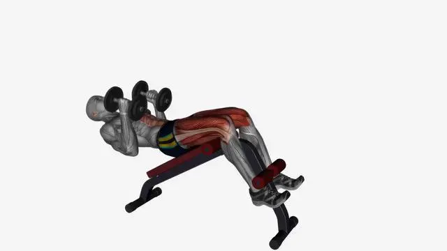 Decline sit up (6)