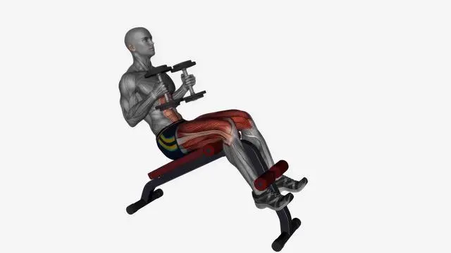 Decline sit ups dumbbells (2)