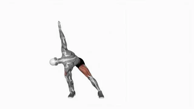 Diagonal lunge (2)