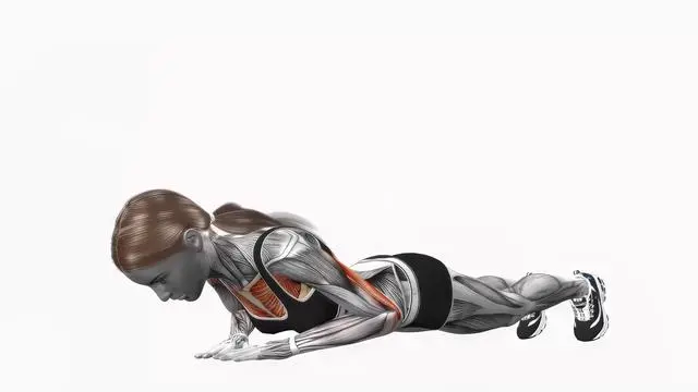 Diamond push up (2)