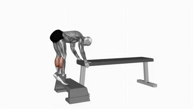 Donkey calf raise (2)