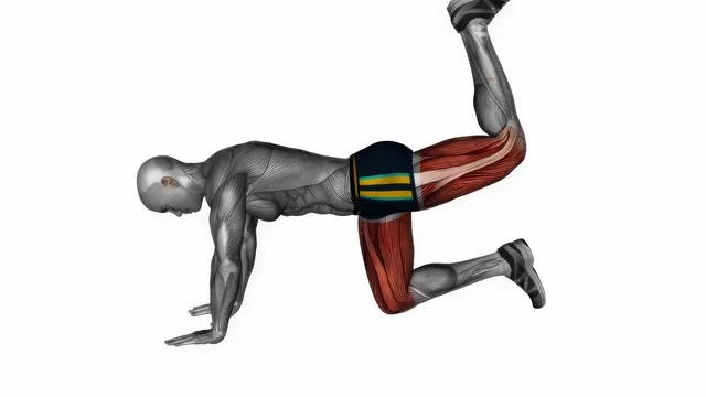 Donkey kicks bodyweight (2)