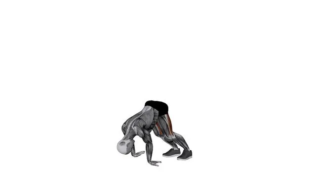 Downward Dog With Fingers Facing Feet (2)