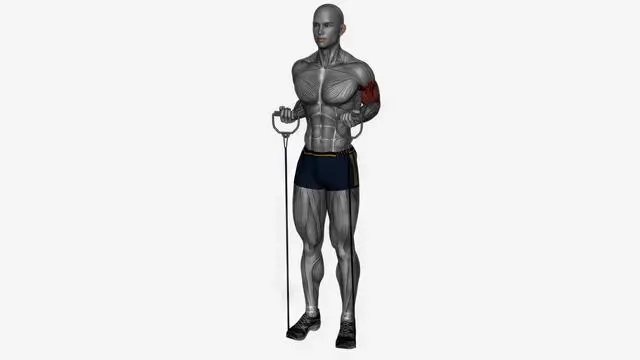 Drag curl Resistance band (2)