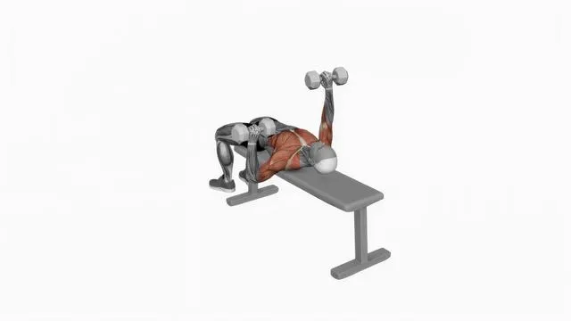 Dumbbell Alternate Bench Press (high start) (2)