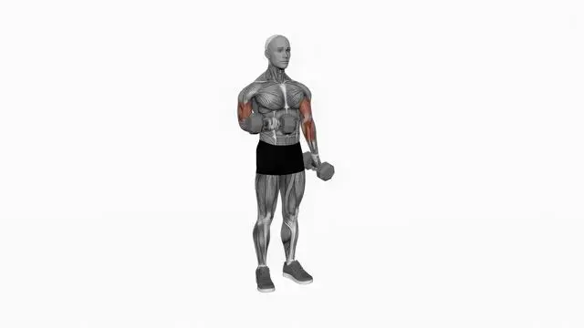 Dumbbell Alternate Biceps Curl (2)