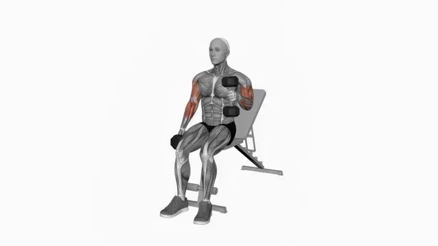 Dumbbell Alternate Seated Hammer Curl (2)