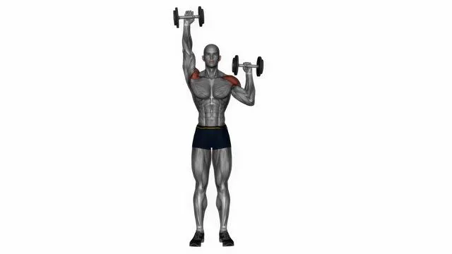 Dumbbell Alternate Shoulder Press (4)