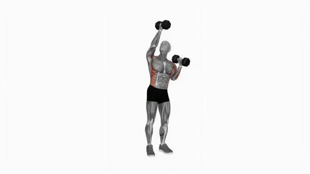 Dumbbell Alternate Side Press (2)