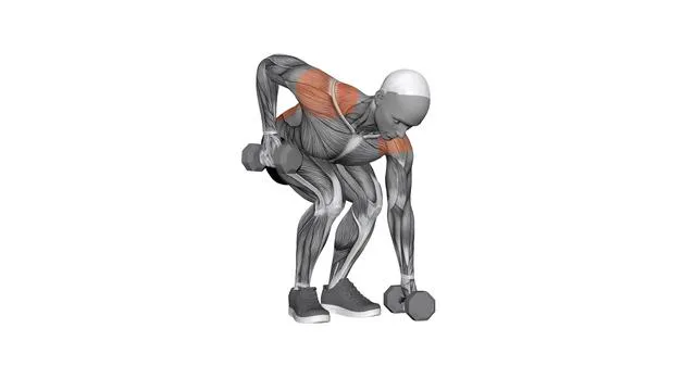 Dumbbell Alternating Pendlay Row (2)