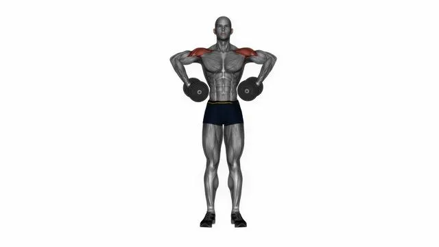 Dumbbell armpit row (2)