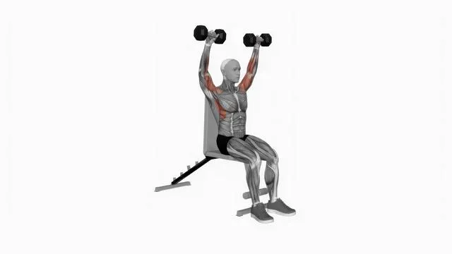 Dumbbell Arnold Press Seated (2)