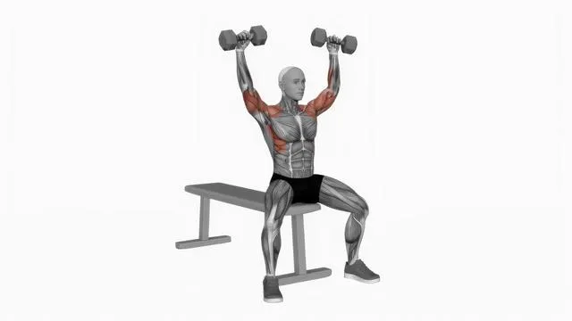 Dumbbell Arnold Press (version 2) (2)