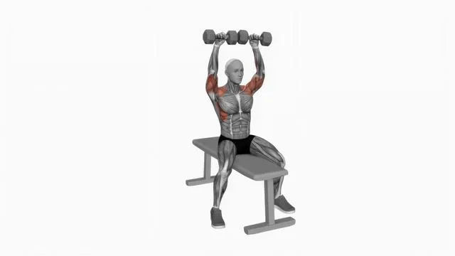 Dumbbell Bench Seated Press (2)