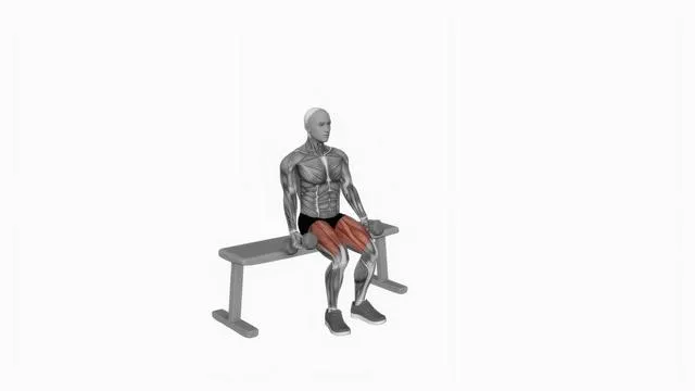 Dumbbell Bench Squat (2)