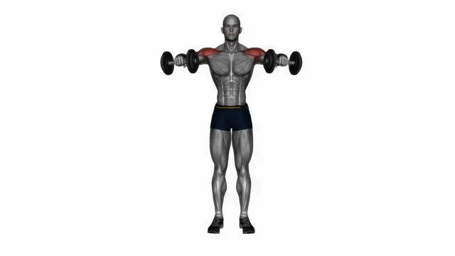 Dumbbell bent arm lateral raise (2)