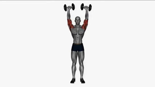 Dumbbell bicep curl to shoulder press (2)