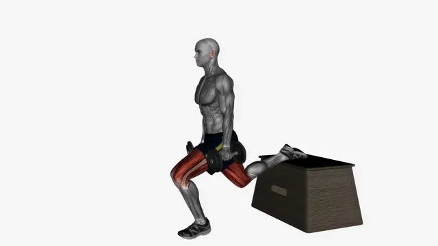 Dumbbell bulgarian box split squat (2)