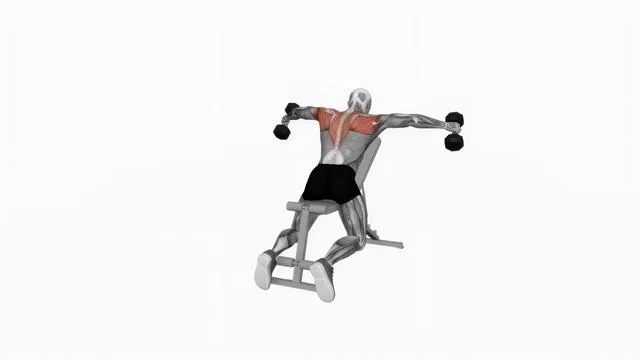 Dumbbell Chest Supported Lateral Raises (2)