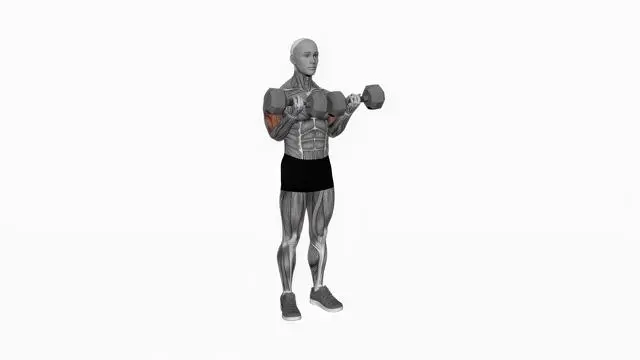 Dumbbell Close-Grip Simultaneous Curl (2)