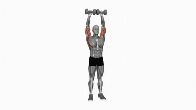 Dumbbell Cuban Press (version 2) (2)