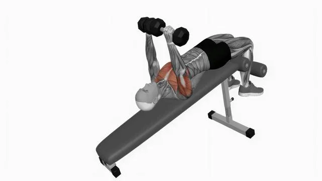 Dumbbell Decline Bench Press (2)