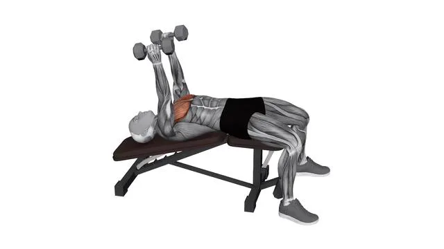 Dumbbell Decline Close Neutral Grip Press (2)