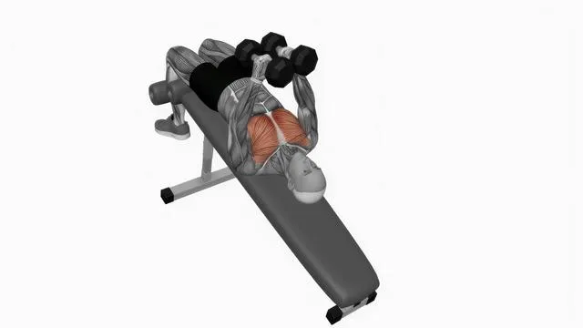Dumbbell decline fly (2)