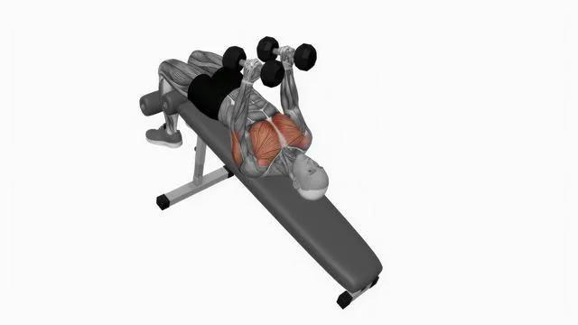 Dumbbell Decline Hammer Press (2)